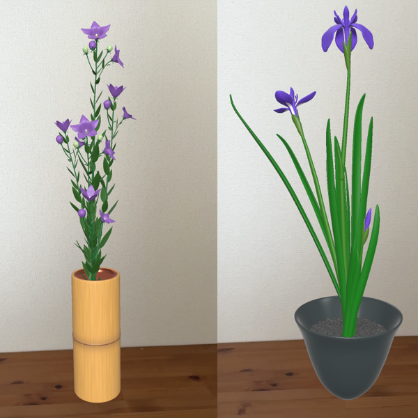 部屋に花を<br />ARで楽しむ